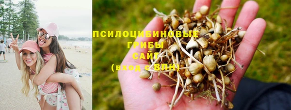 прущая мука Алексеевка