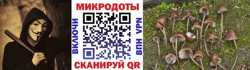 Псилоцибиновые грибы Psilocybe  как найти закладки  Билибино 